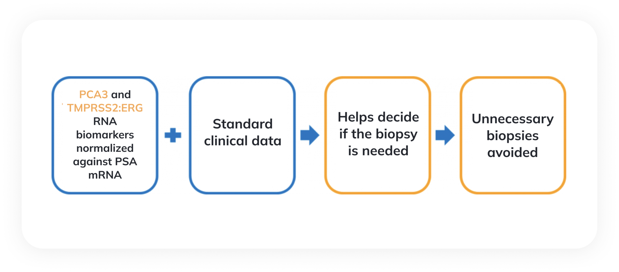 Prostate cancer diagnosis Diagnolita